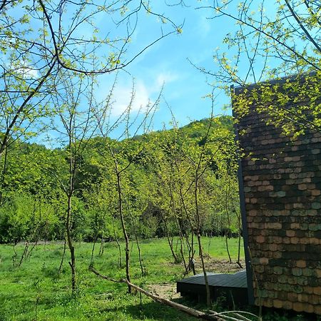 Retreat In Padure Buchin Exterior foto