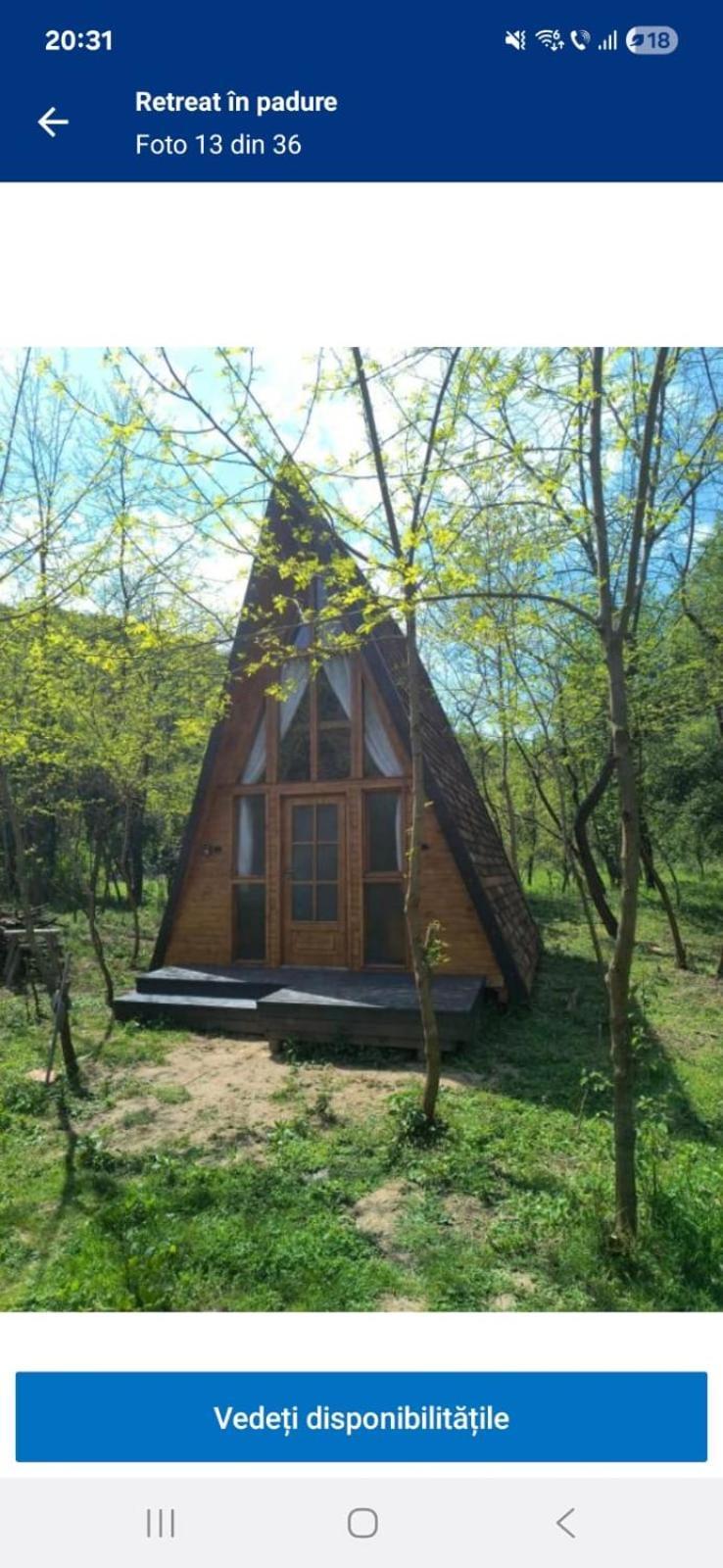 Retreat In Padure Buchin Exterior foto